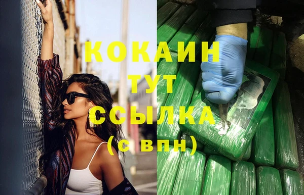 сатива Горняк