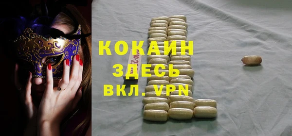 сатива Горняк