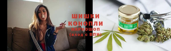 сатива Горняк