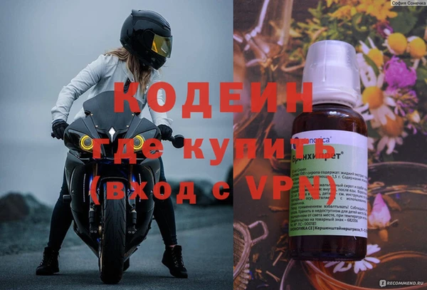 сатива Горняк