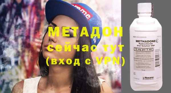 сатива Горняк