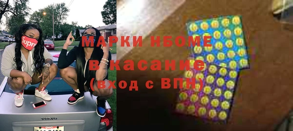 сатива Горняк