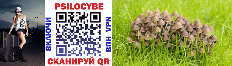 Купить закладки  Красный Кут  Галлюциногенные грибы ЛСД 